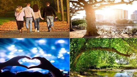 Wir leben Metropolregion Vier Fotos in einem. Spaziergänger im Park. Mainufer Ff. Hand-Herz-Zeichen vor Konzertkulisse. Baum an seichten Fluss.